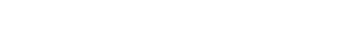 Sporting Brands logo
